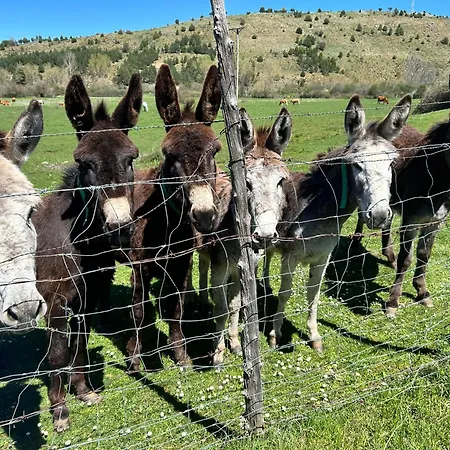 La Del Canon Semesterbostad Vadillo