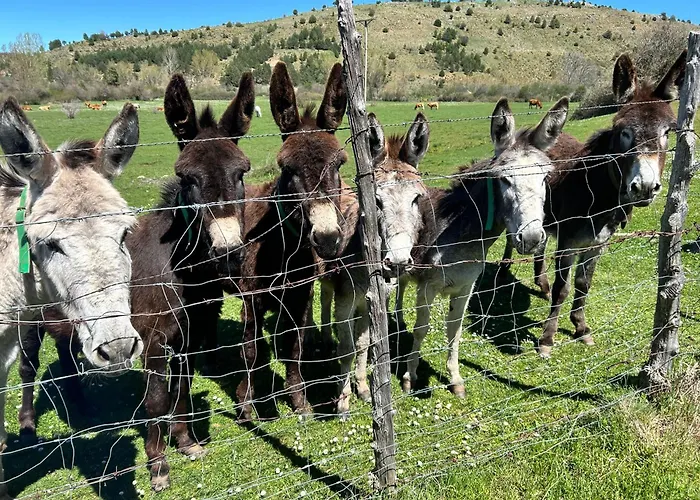 La Del Cañón Сasa de vacaciones Vadillo